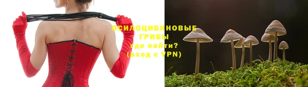 гидропоника Алзамай