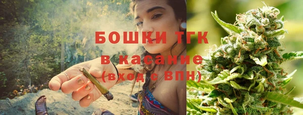 ГАЛЛЮЦИНОГЕННЫЕ ГРИБЫ Аркадак