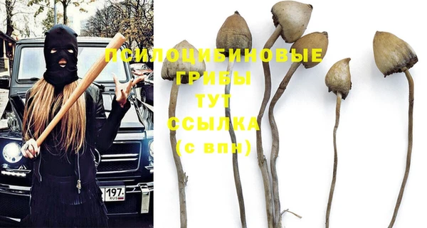 ГАЛЛЮЦИНОГЕННЫЕ ГРИБЫ Аркадак