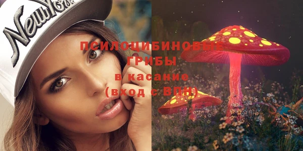 mdpv Арсеньев