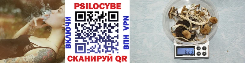 Галлюциногенные грибы мицелий  даркнет сайт  Мирный 
